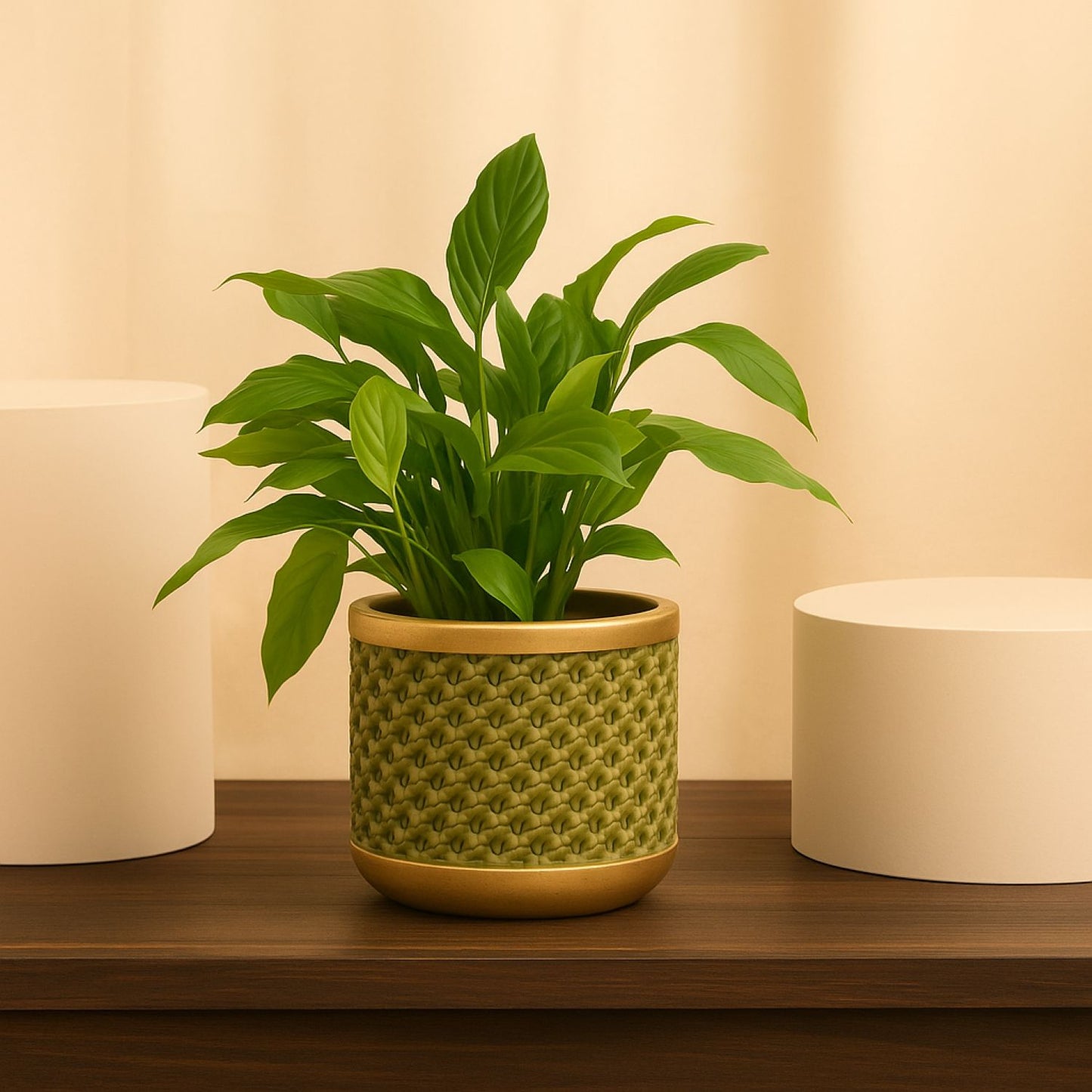 Peace Lily Ceramic Pot