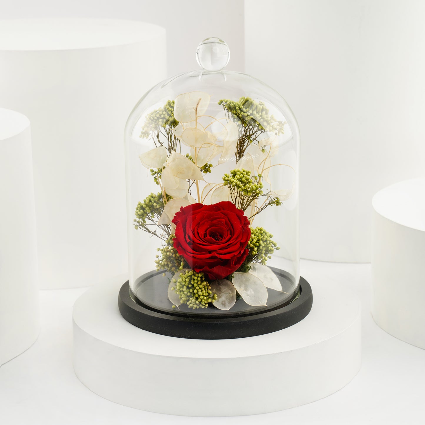 ورد دائم | وردة حمراء و جوديفا