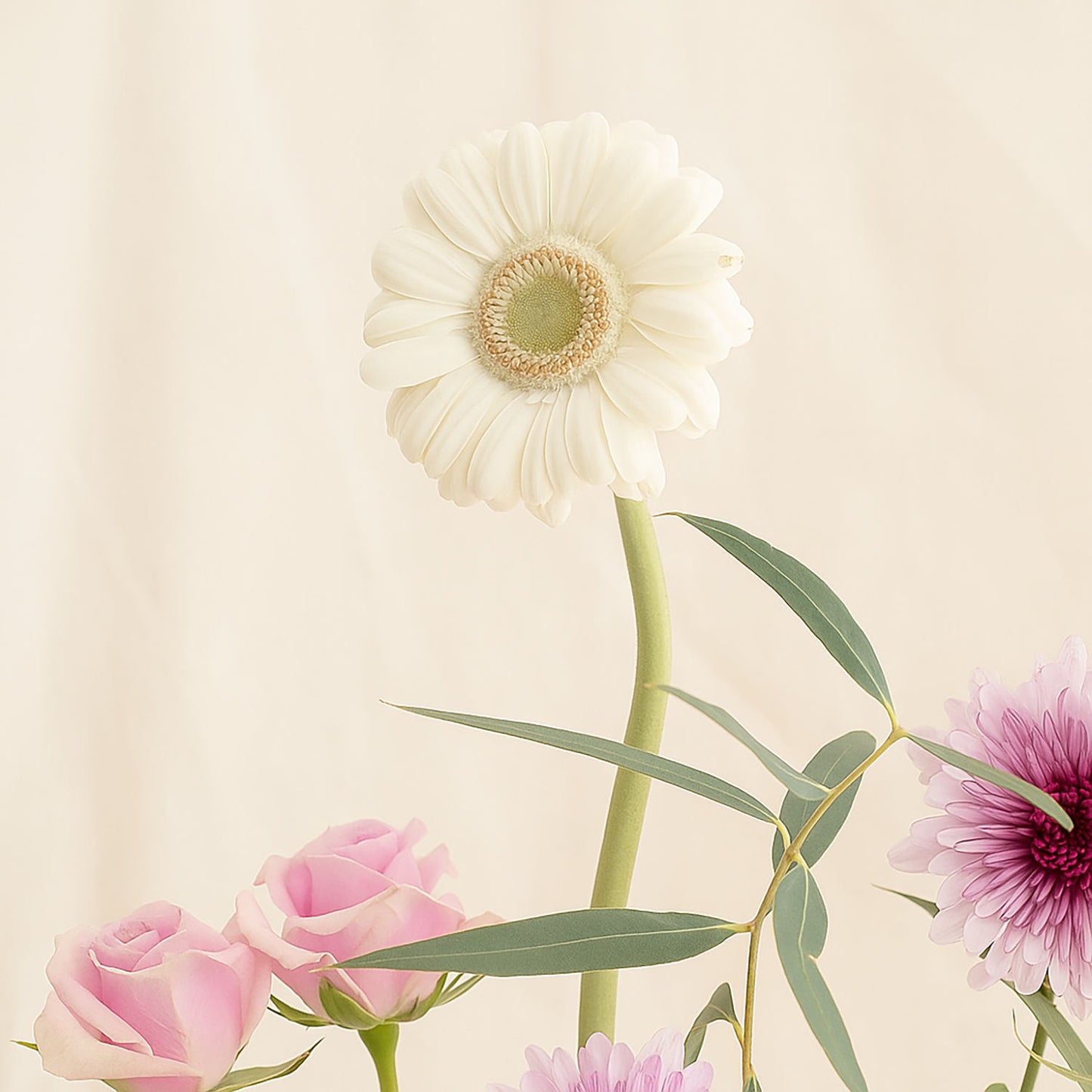 AANI & DANI Baby Girl Chocolates n Flower Vase