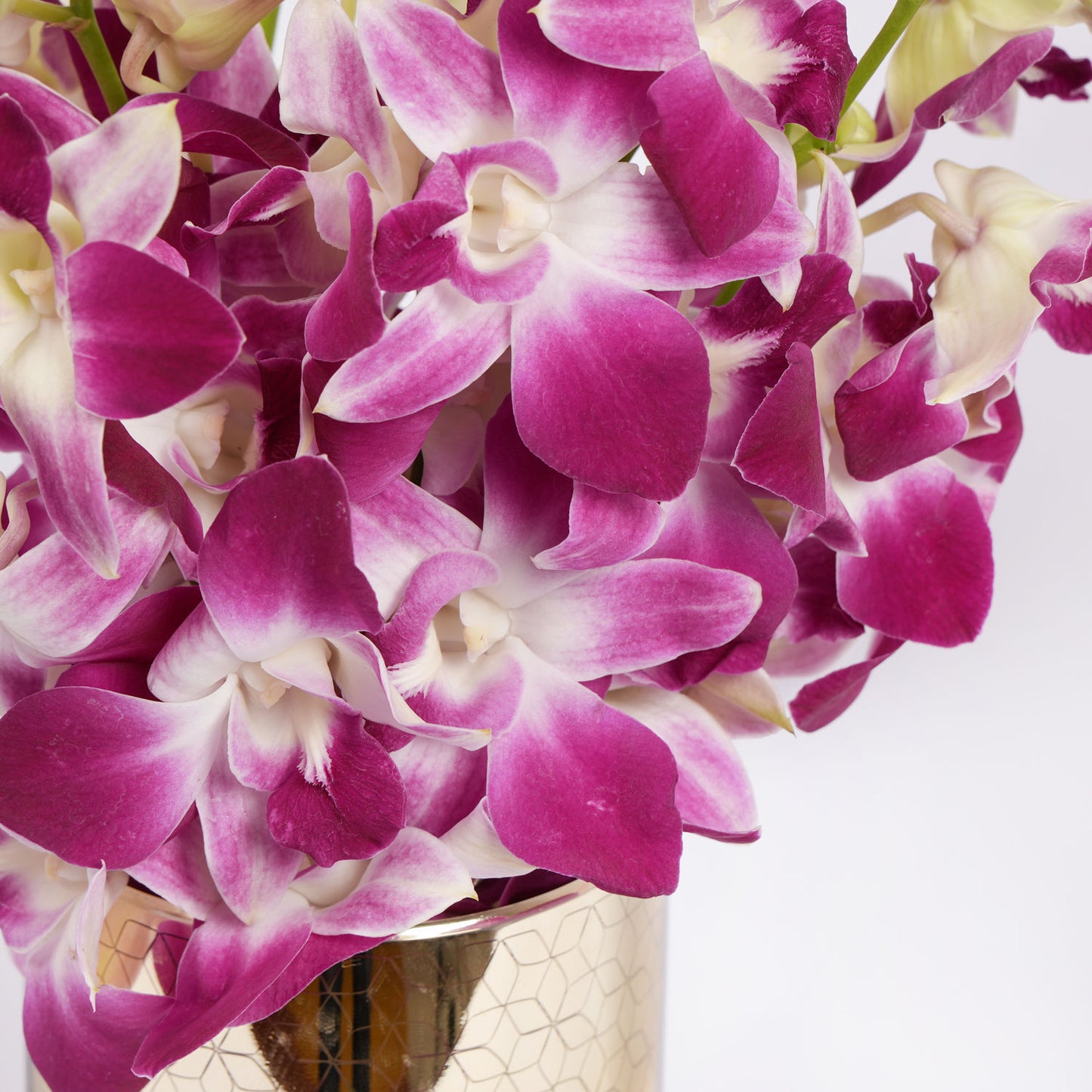 Stunning Purple Orchid in Gold Vase