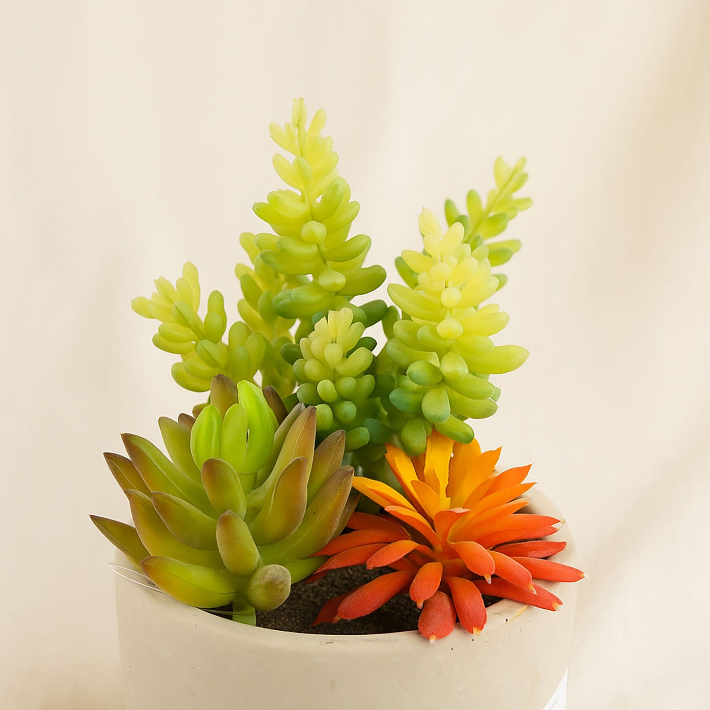 Artificial Colorful Succulent Garden