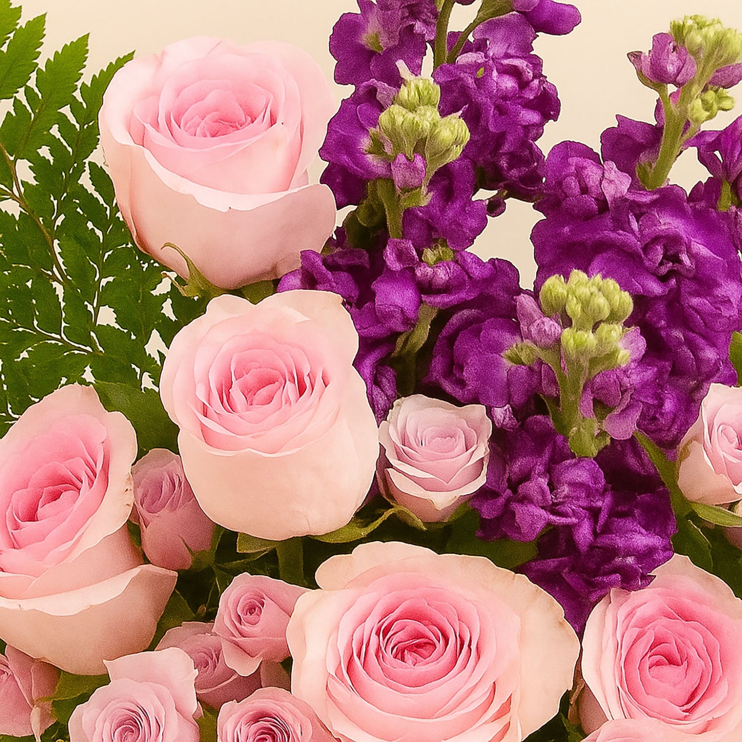 Baby Rose n Matthiola Bloom Box