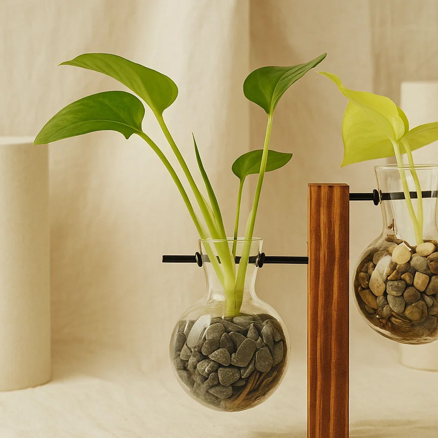 Botanical Antique Pothos Plants