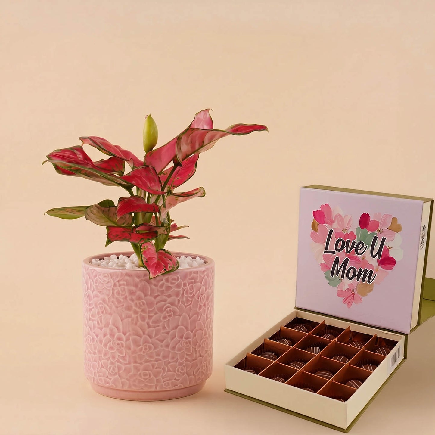 Red Aglaonema Vase with Mothers Day Chocolate Box