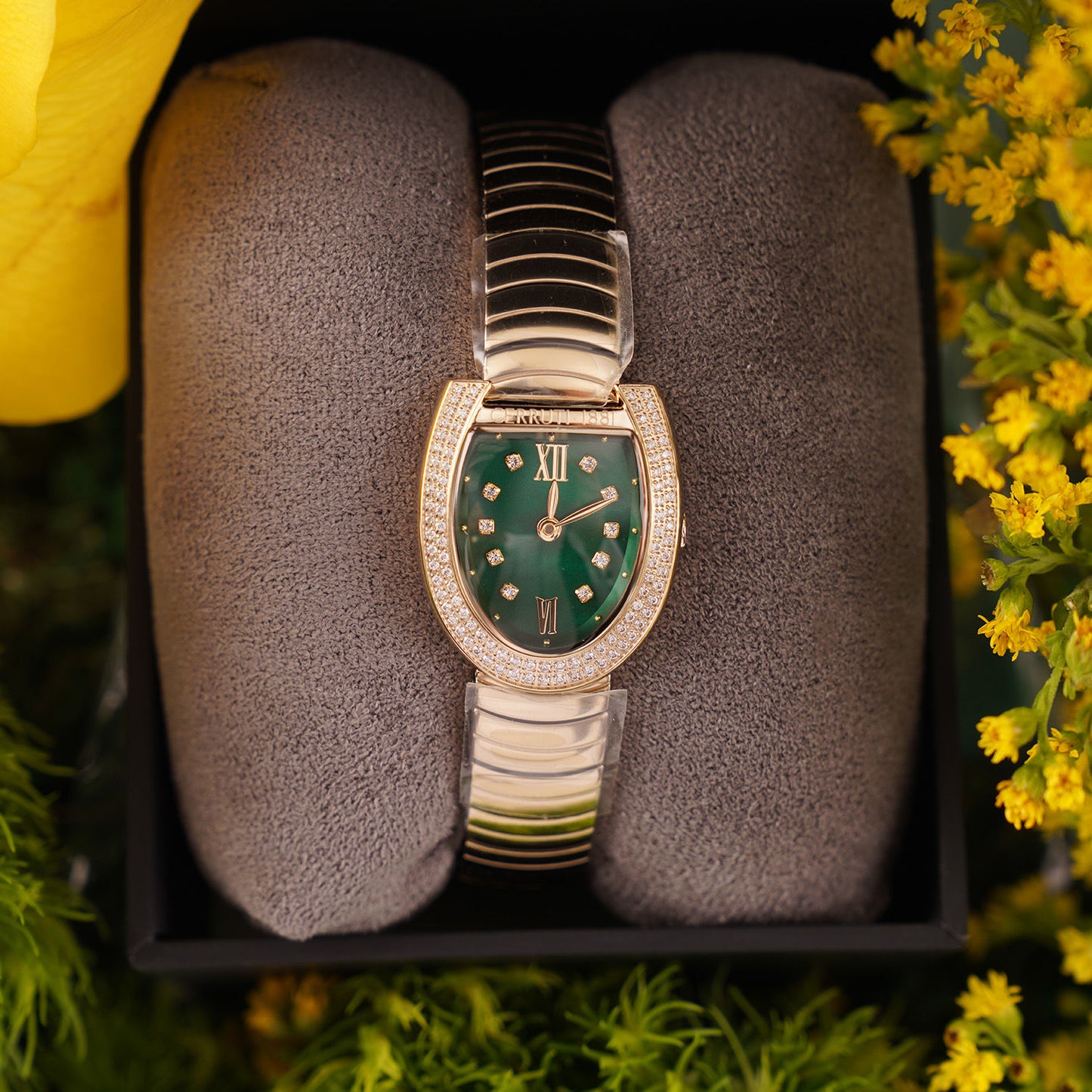 Cerruti 1881 Lerici Watch for Her Bloom Box