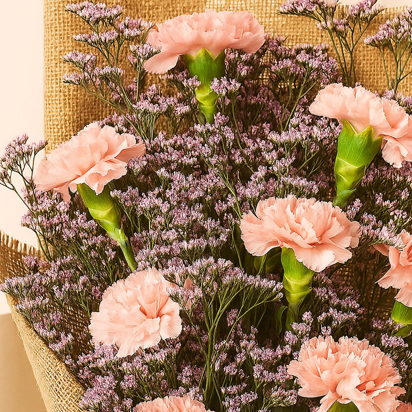 Lovely Pink Carnations Bouquet