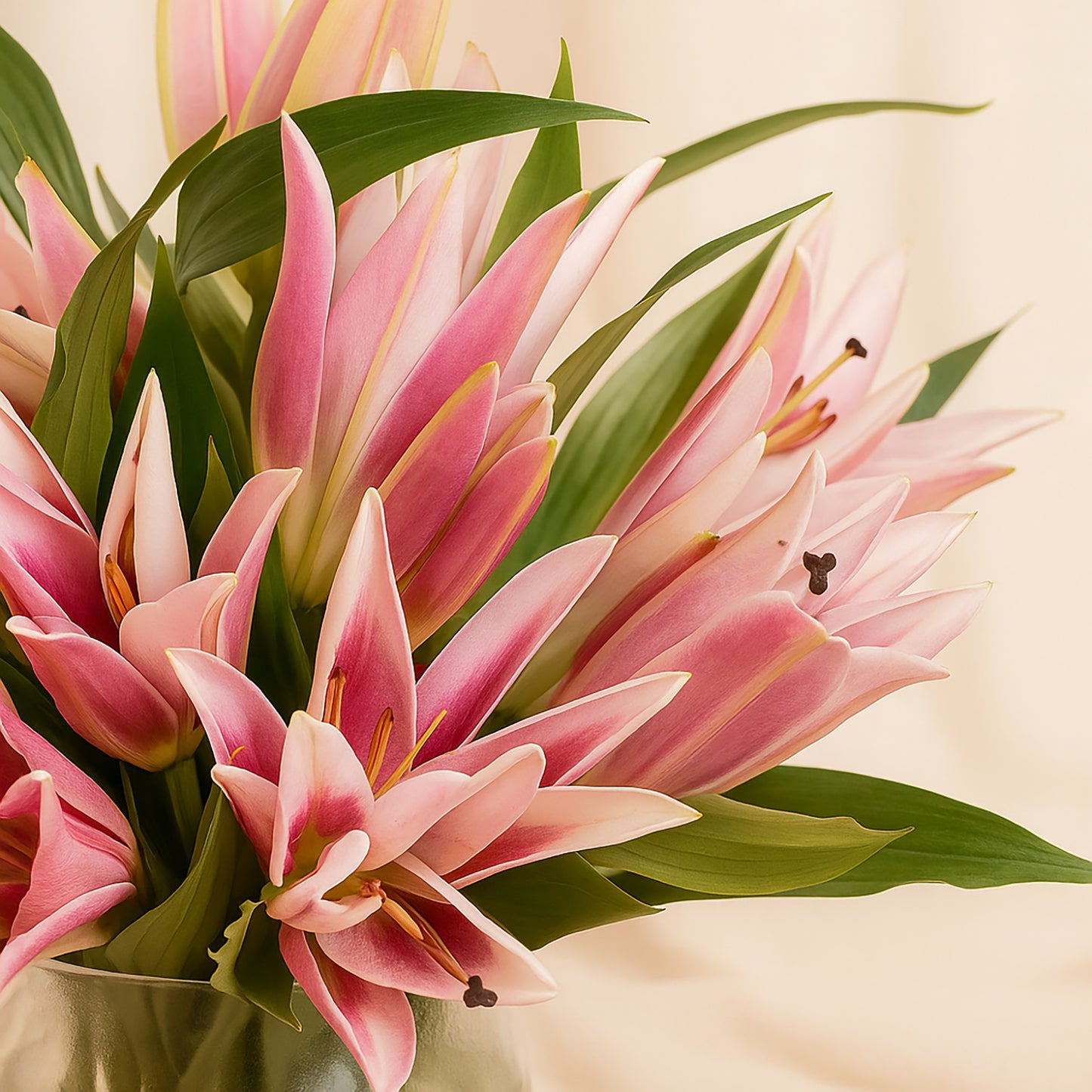 Pink Lily Radiant Vase