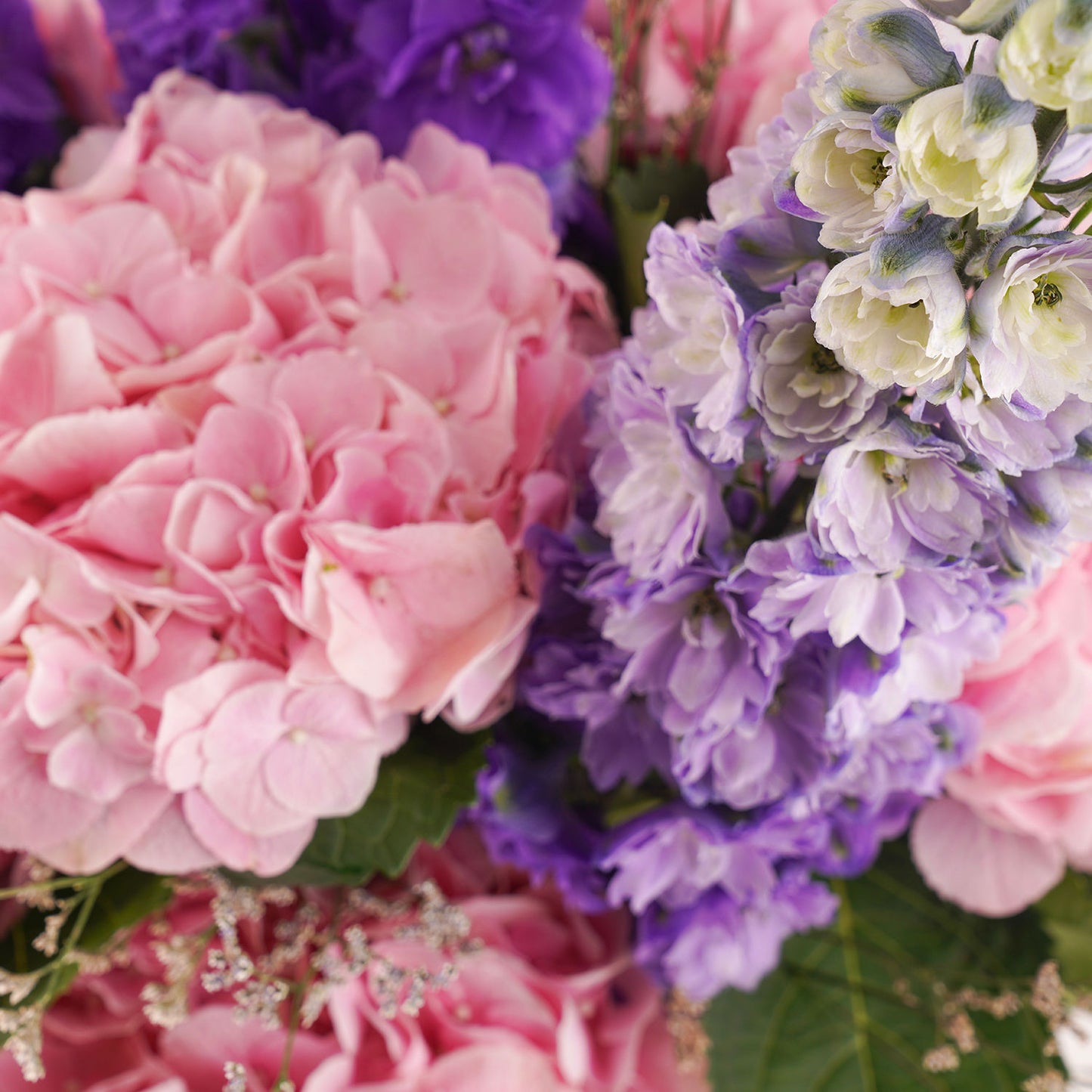 Graceful Delphinium n Hydrangea Vase