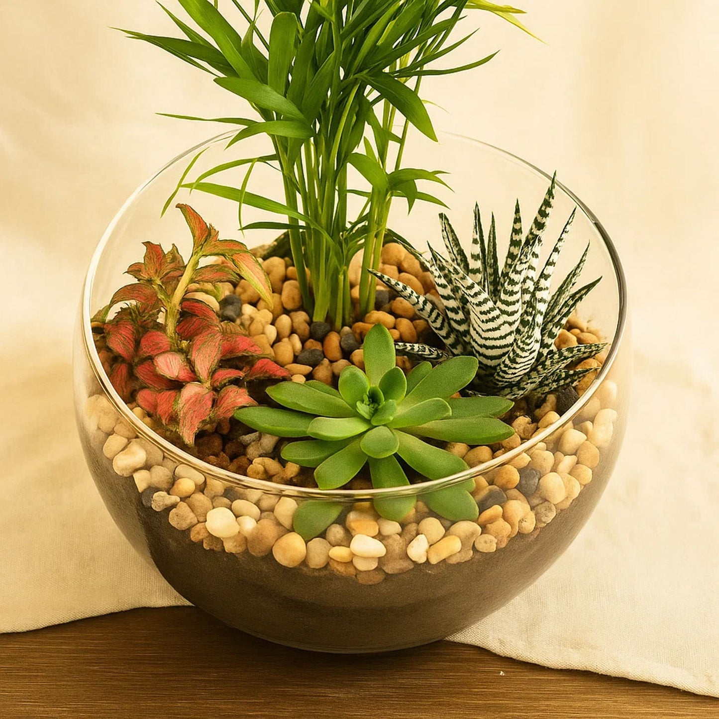 Mini Plant Glass Terrarium