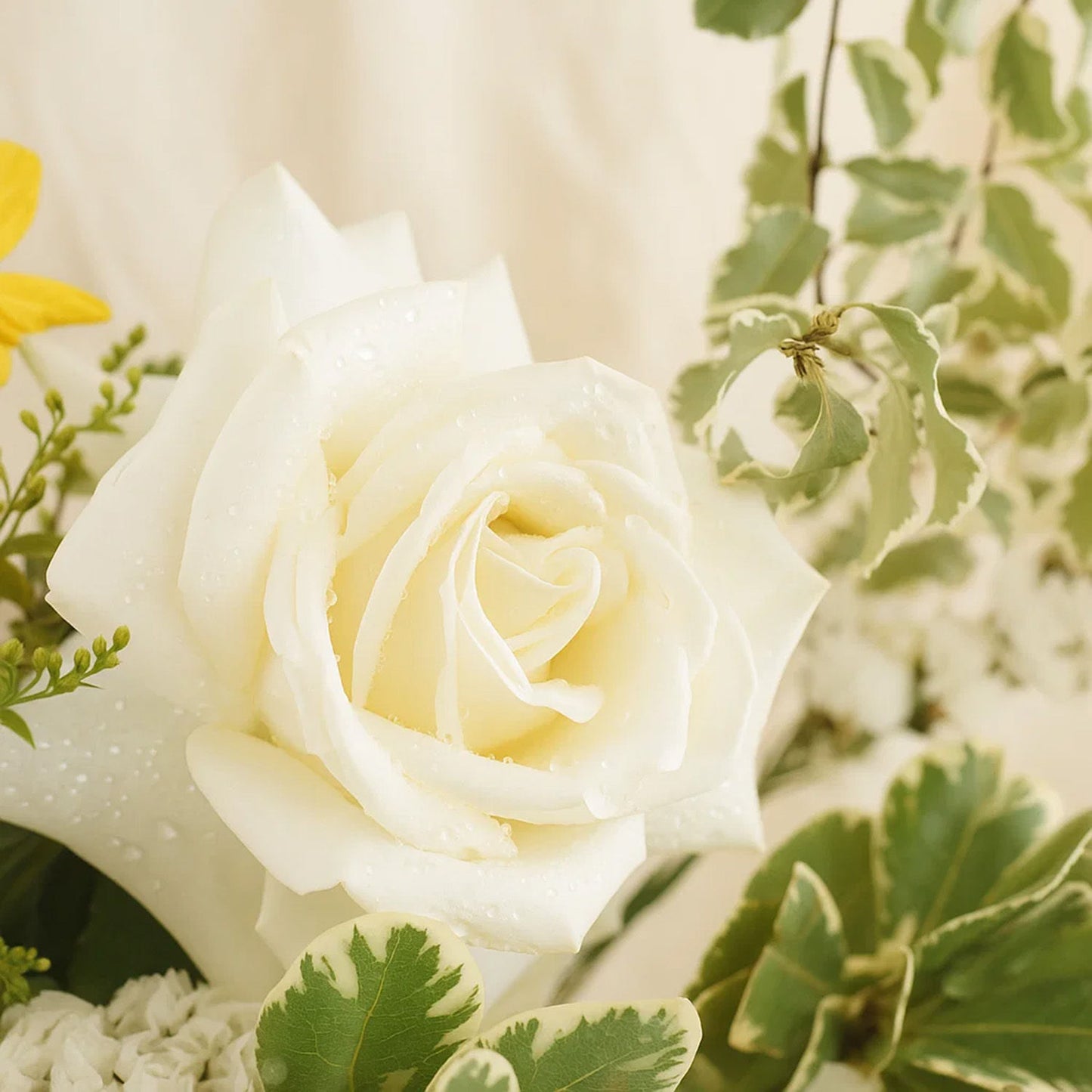 Morning Harmony Flower Vase