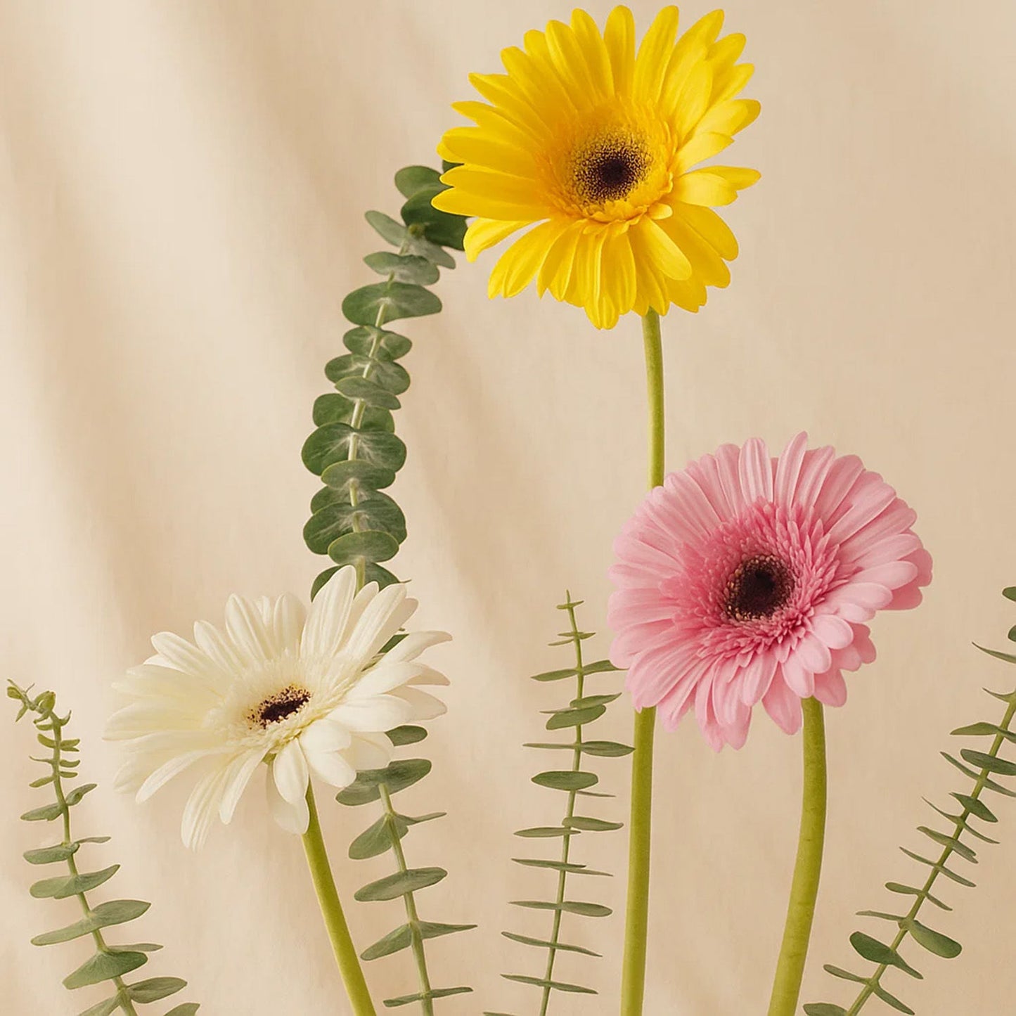 My Way Women's Perfume n Gerbera Vase