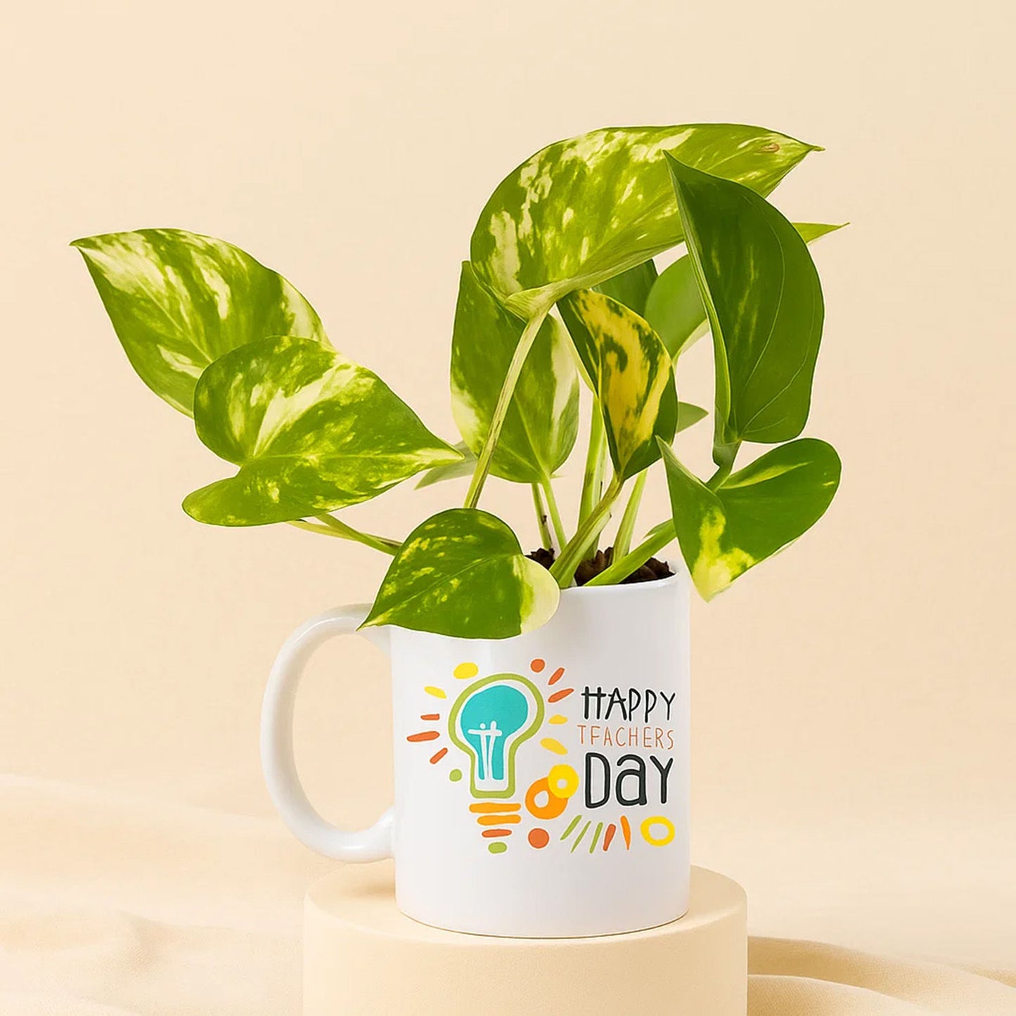 Golden Pothos Mug For Teachers