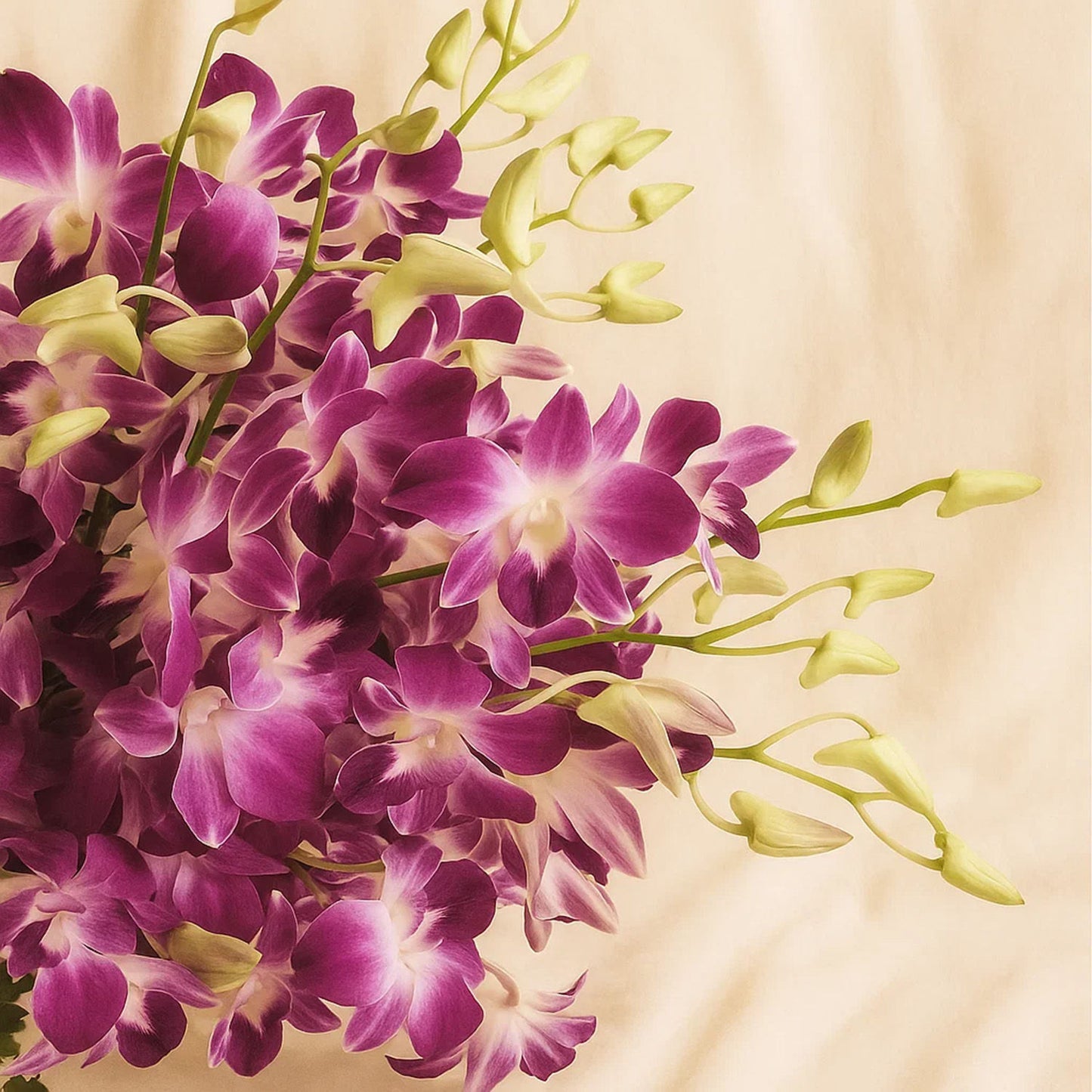 Orchid Charm | 38 Baby Orchids