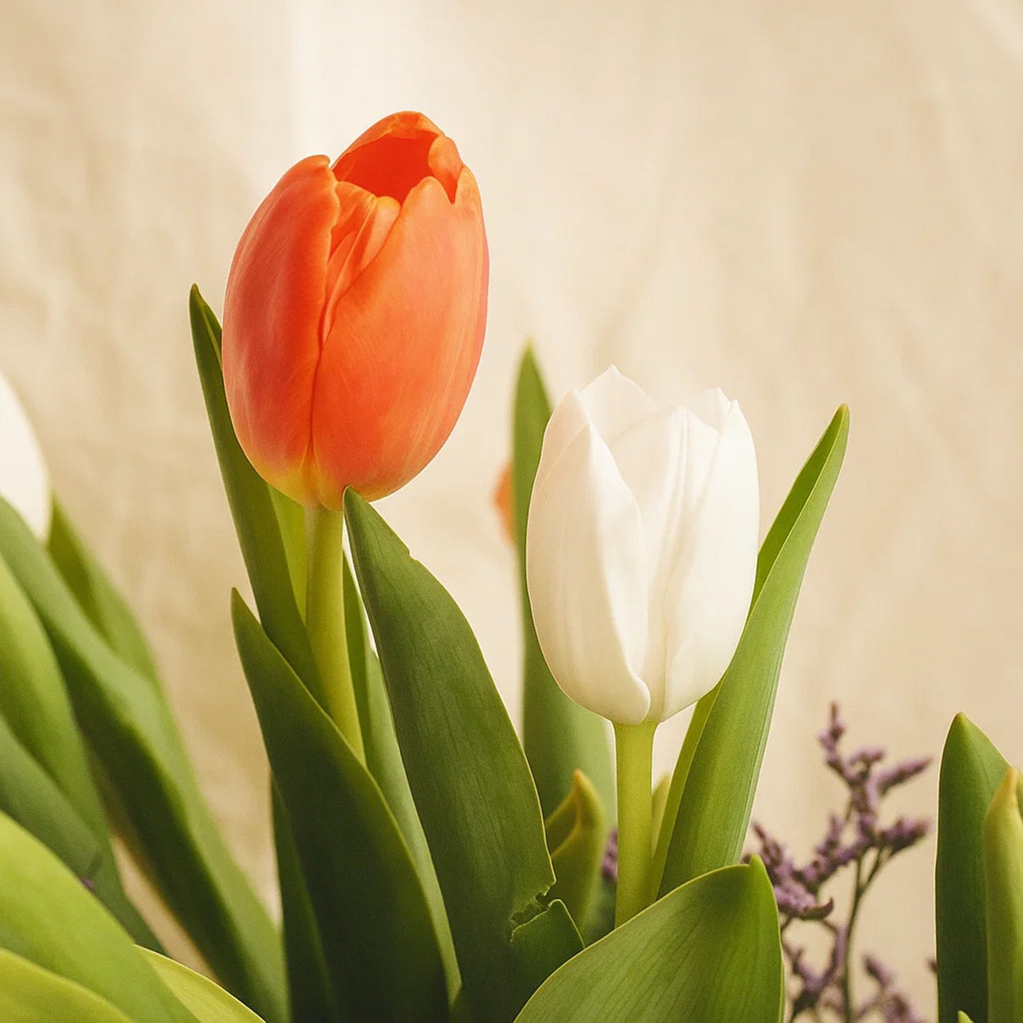 Spring Whisper Tulip Vase