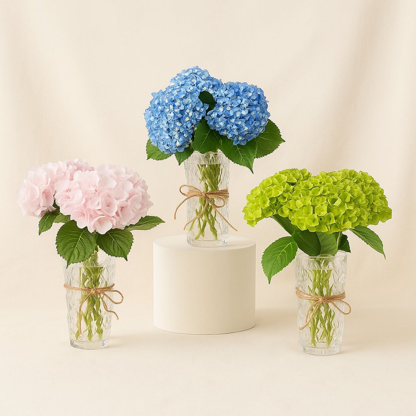 Trio of Blooming Hydrangeas