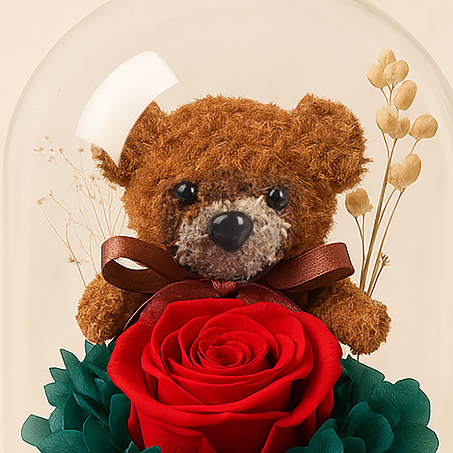 Teddy n Forever Rose Glass Dome
