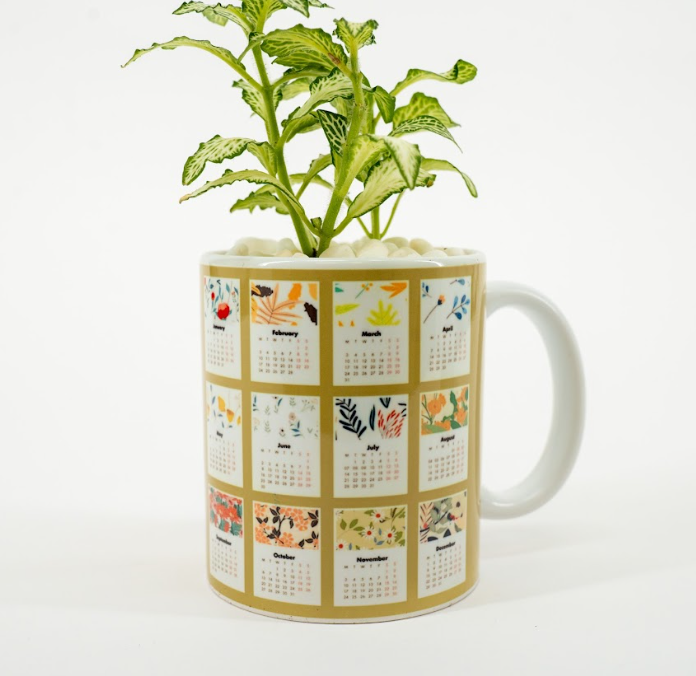 New Year Gifts | Nerve Plant Mug