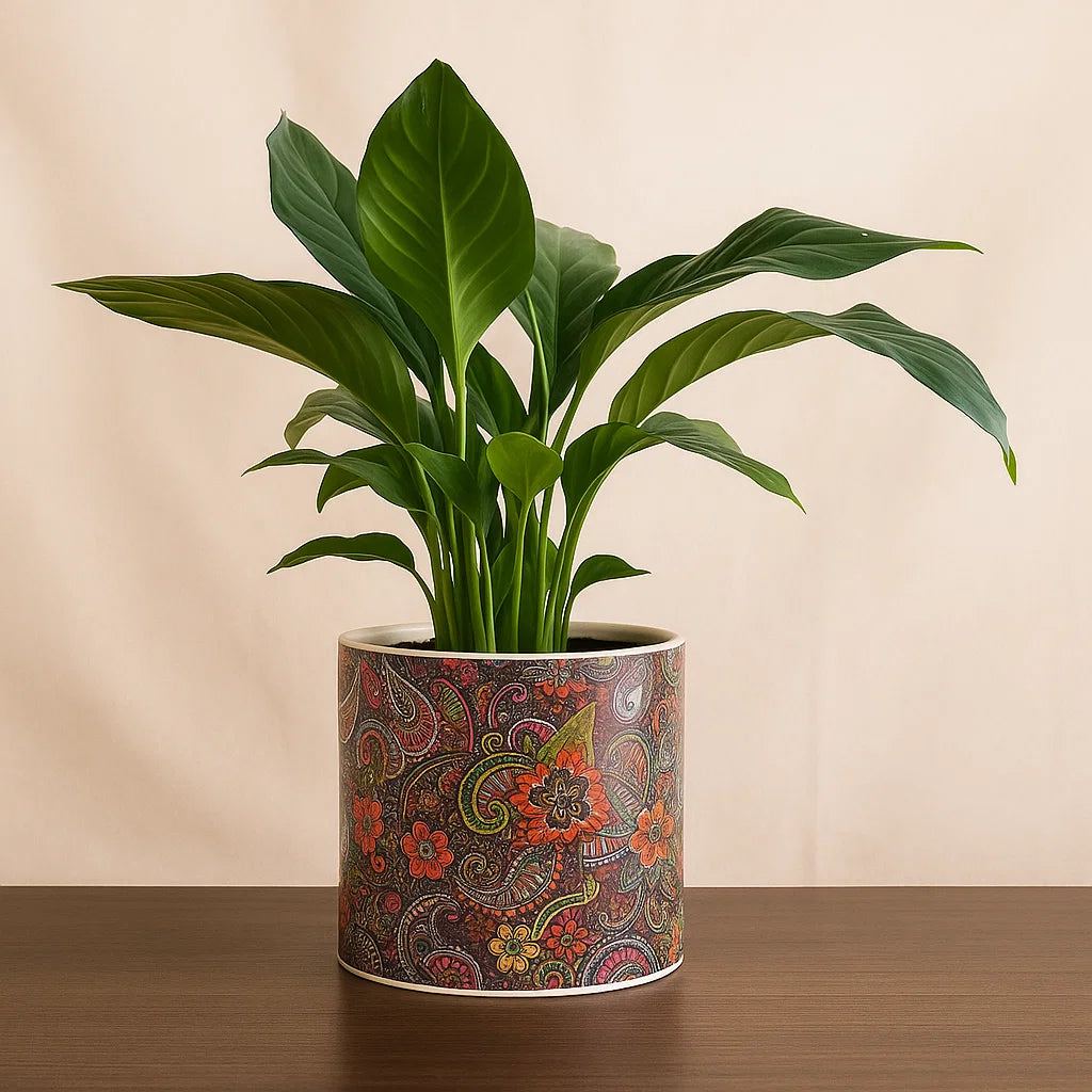 Peace Lily Plant Mud Pot
