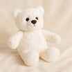 White Teddy Bear 