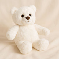 White Teddy Bear 