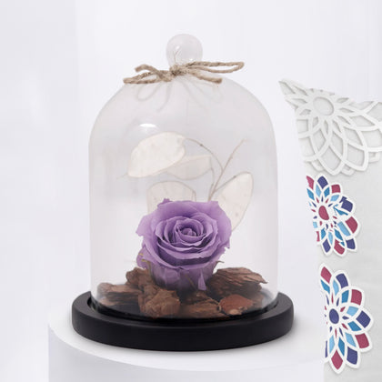 Forever Rose With Cushion n Mug For Mother