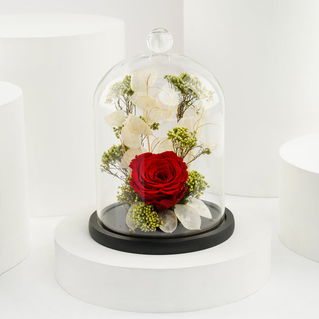 Red Forever Rose n Godiva Box