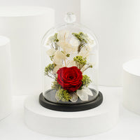 ورد دائم | وردة حمراء و جوديفا