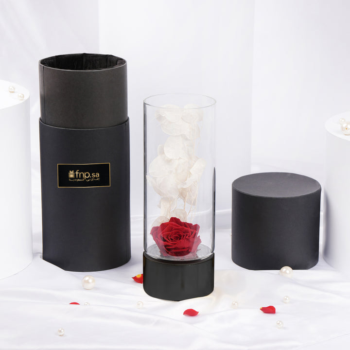 Red Forever Rose in Ebony Black Vase