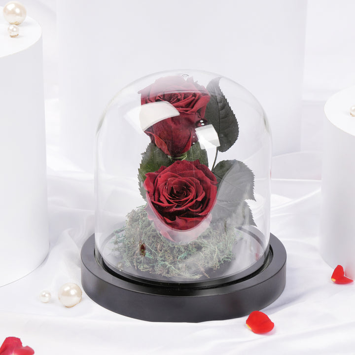Red Preserved Rose Antique