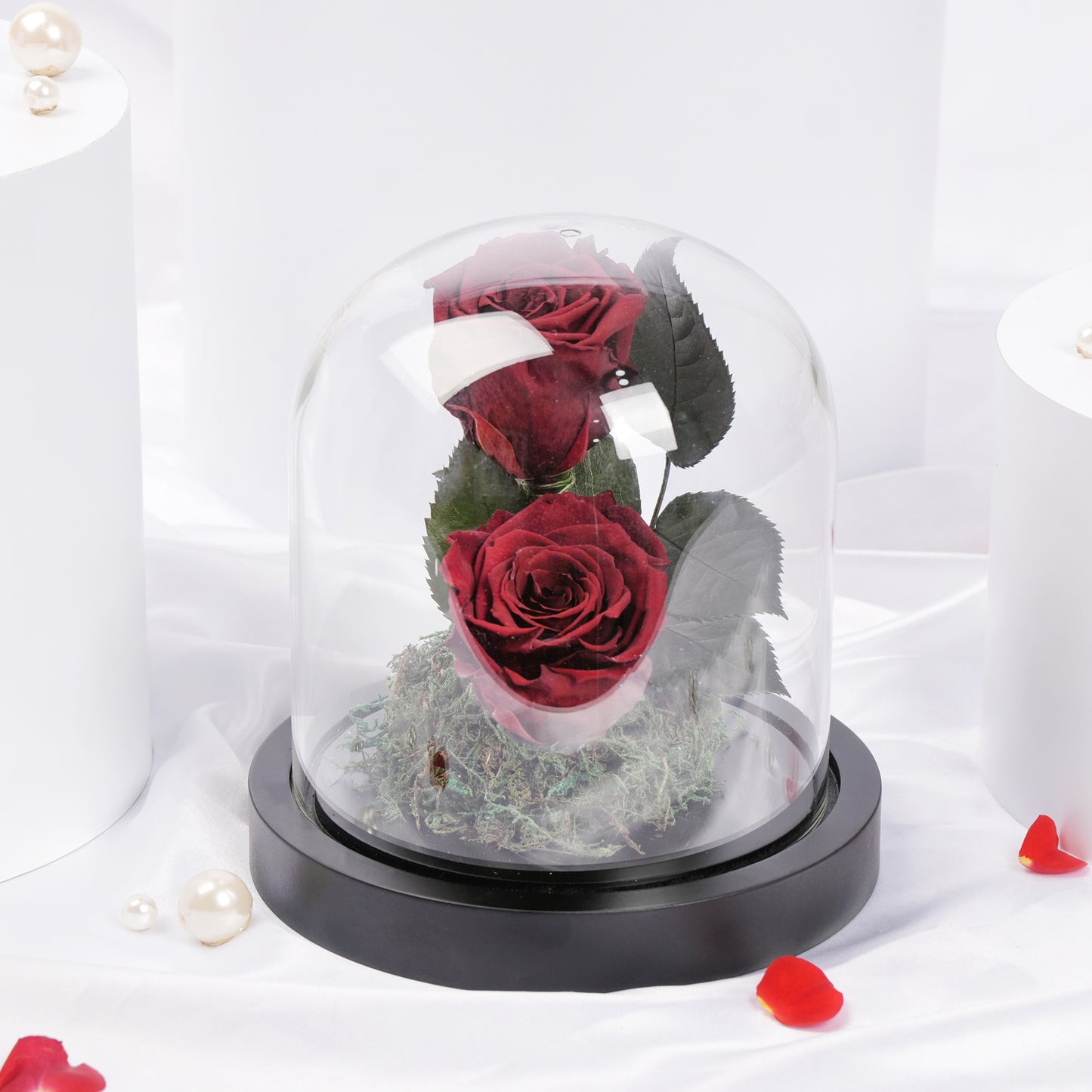 Red Preserved Rose Antique
