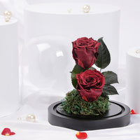 Red Preserved Rose Antique