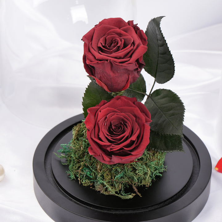 Red Preserved Rose Antique