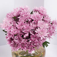 Chrysanths Charm Vase