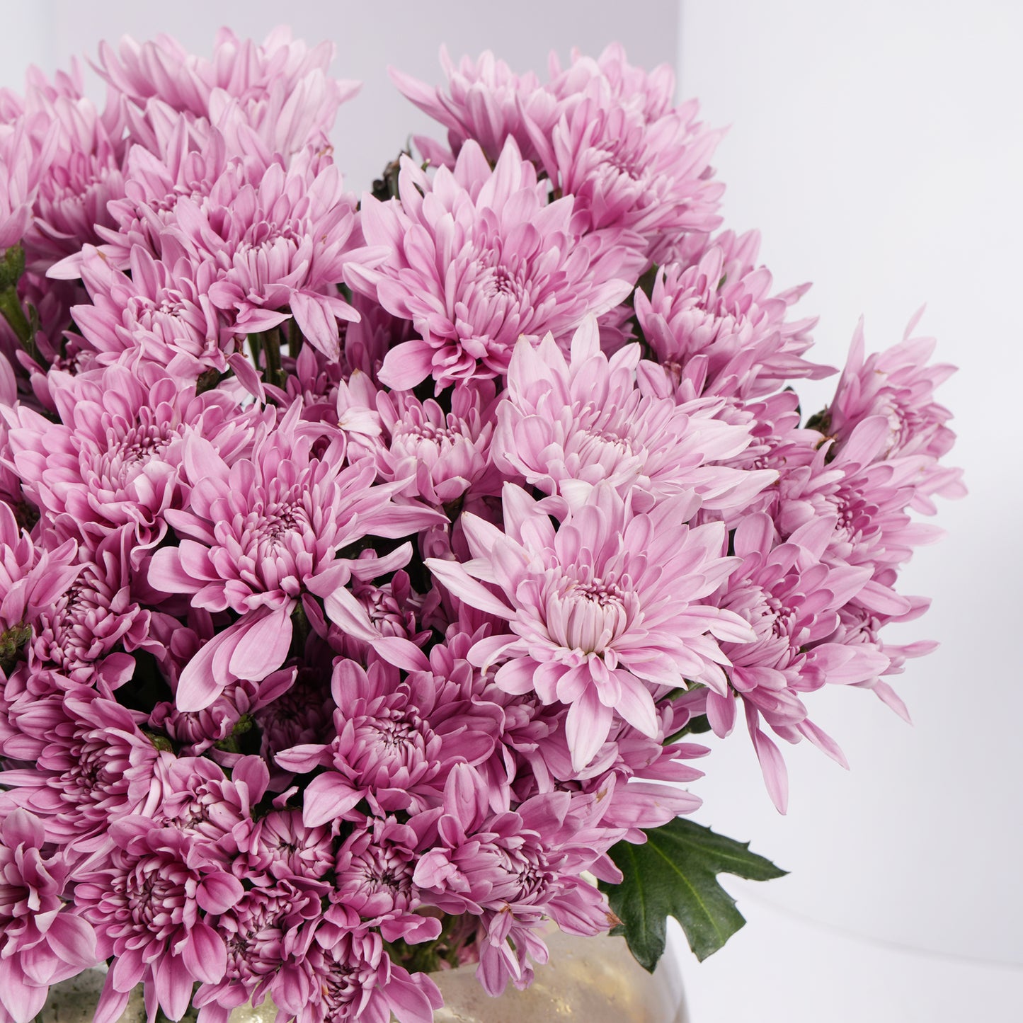 Chrysanths Charm Vase