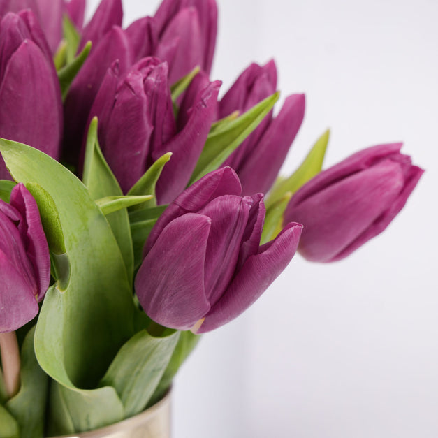 Delicate Purple Tulips Golden Vase