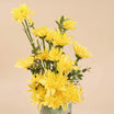 Spring Glamor Yellow Blooms