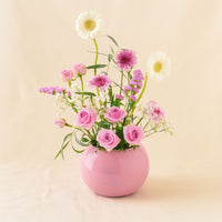 AANI & DANI Baby Girl Chocolates n Flower Vase