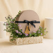 AANI & DANI Chocolate n Aster Flower Tray