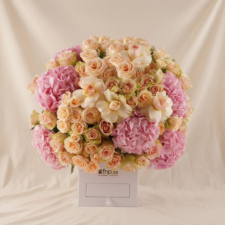 AANI & DANI Chocolate n Romantic Peach Bloom