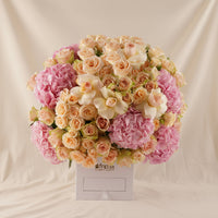 AANI & DANI Chocolate n Romantic Peach Bloom