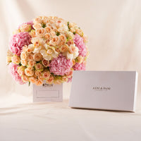 AANI & DANI Chocolate n Romantic Peach Bloom