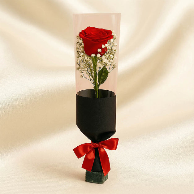 Elegant Single Red Rose in Black