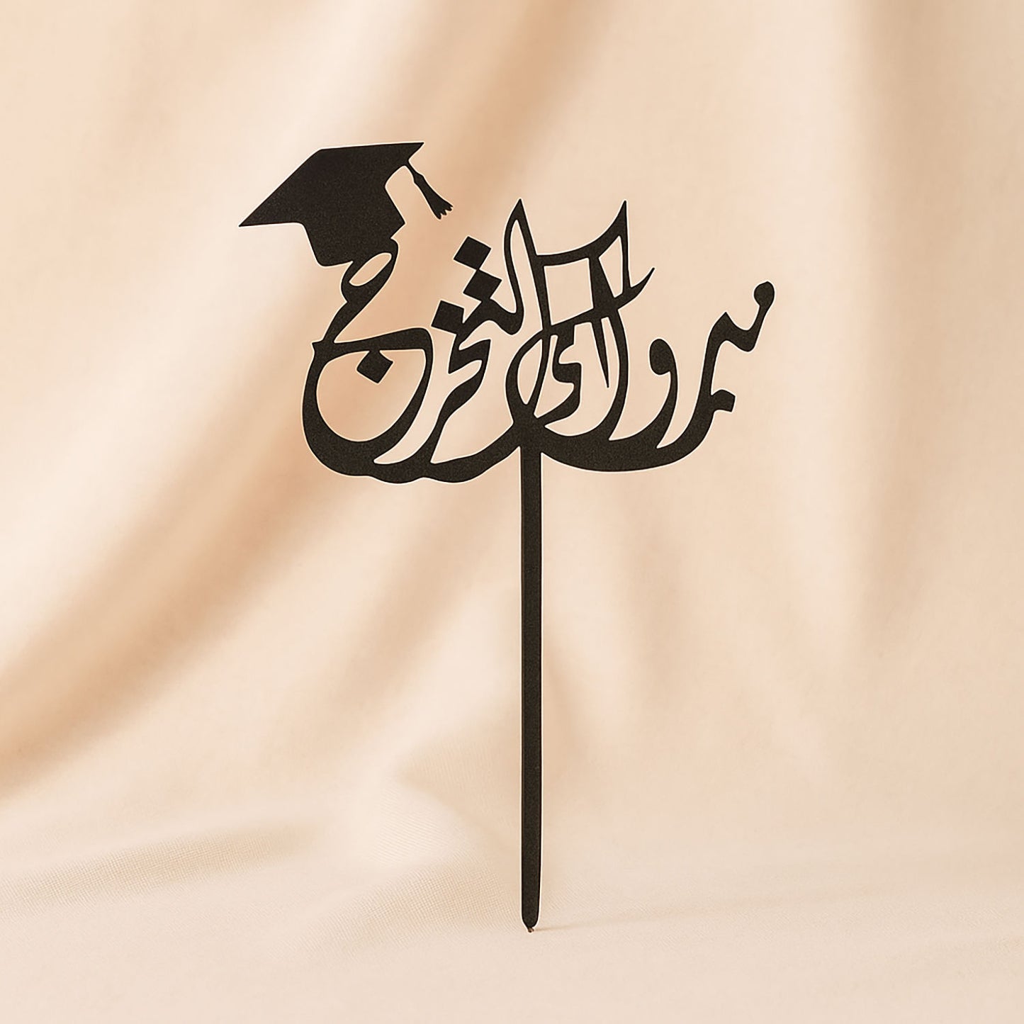 Black Graduation Cake Topper