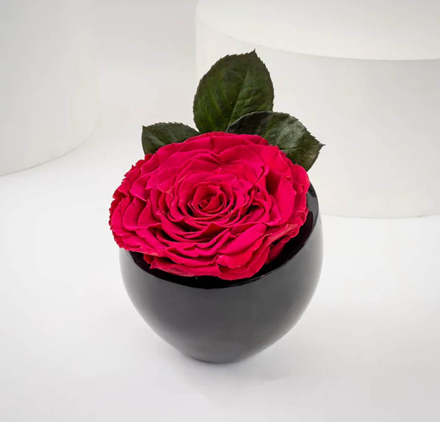 Valentine's Red Forever Rose