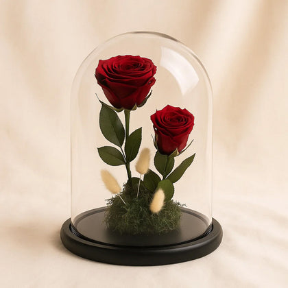 Large Forever Roses Dome