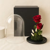 Two Red Forever Roses Dome