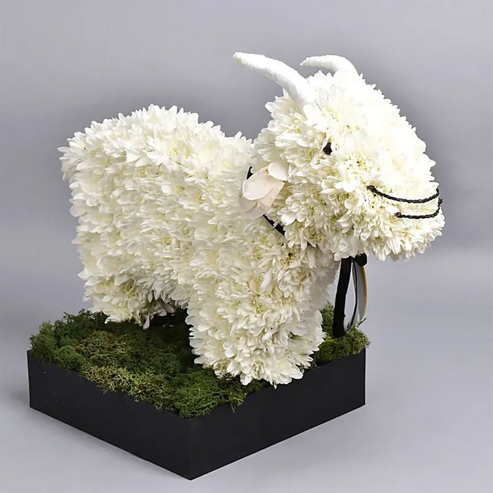 Eid Al Adha Wishes | White Floral Goat Arrangement