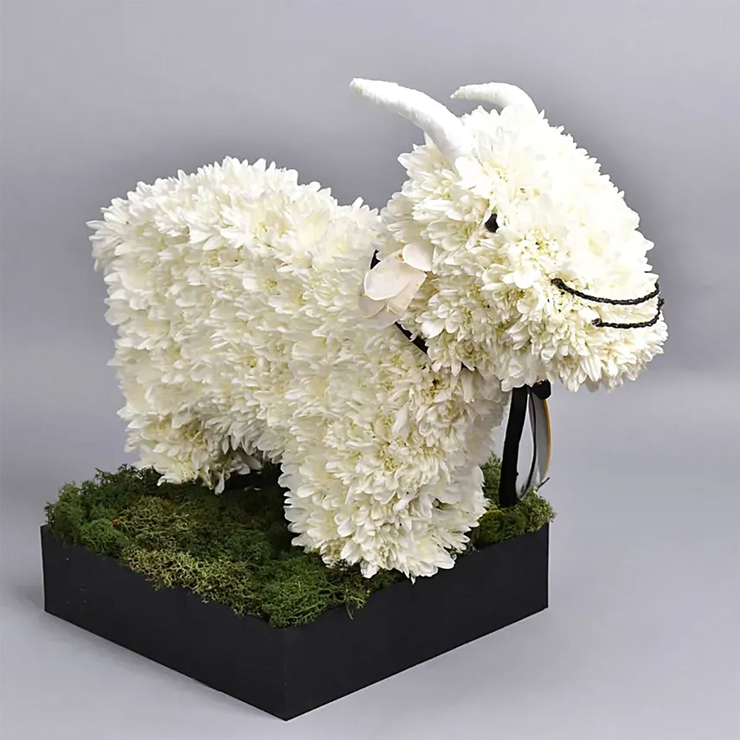Eid Al Adha Wishes | White Floral Goat Arrangement