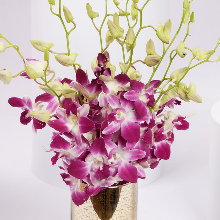 Stunning Purple Orchid in Gold Vase