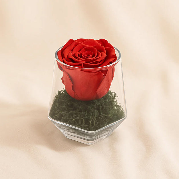 Red Forever Rose Vase 